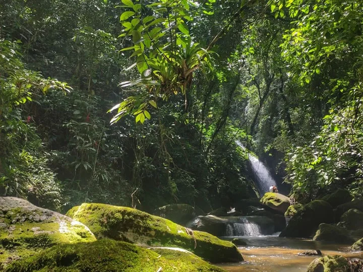 Trilhas e Cachoeiras incríveis na Serra da Bocaina