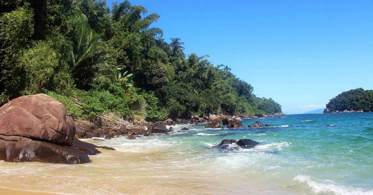 Imagem de capa: Top 5 melhores praias de Ubatuba pra curtir em um fim de semana