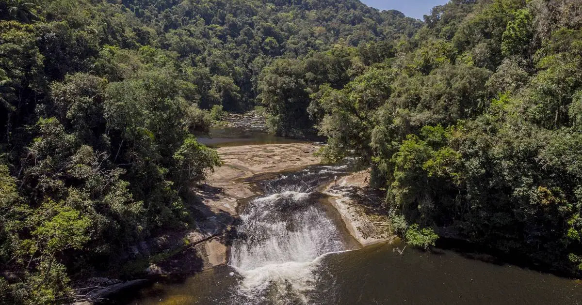 Imagem de capa: Trilha da cachoeira do Pito é perfeita para quem busca conexão com a natureza